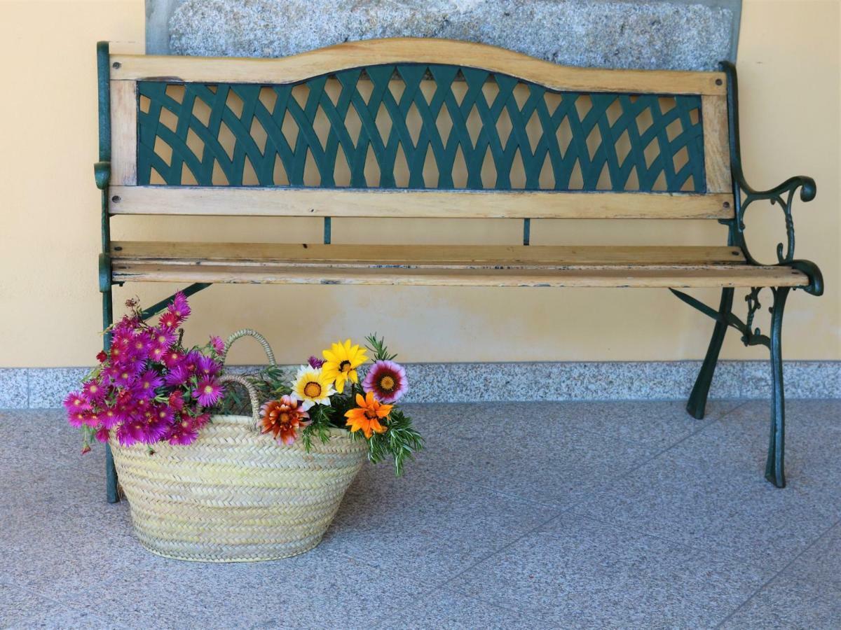 Lovely Sunny-House Viana do Castelo Exteriér fotografie