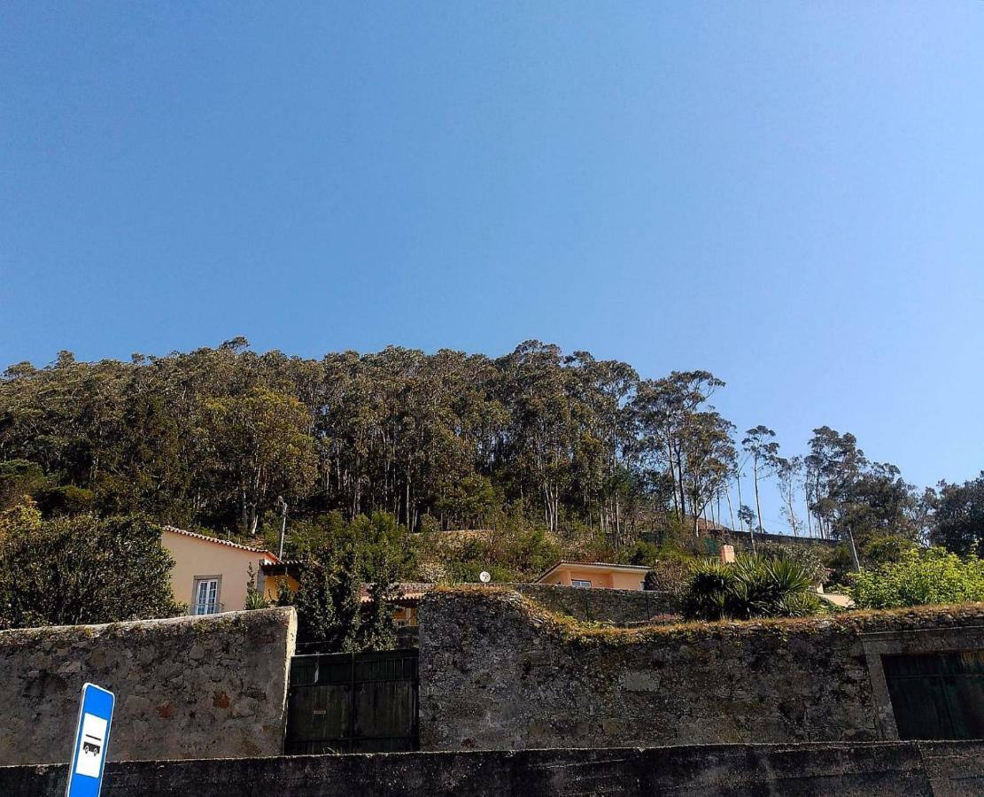 Lovely Sunny-House Viana do Castelo Exteriér fotografie